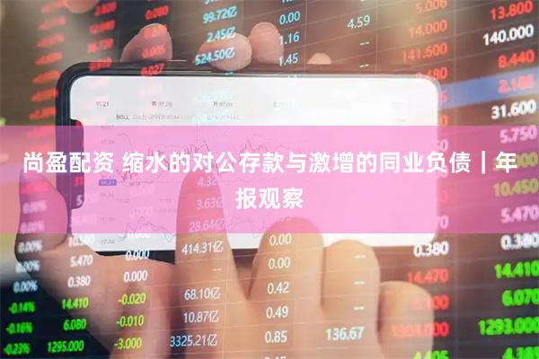 尚盈配资 缩水的对公存款与激增的同业负债｜年报观察