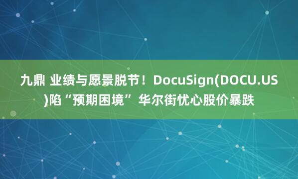 九鼎 业绩与愿景脱节！DocuSign(DOCU.US)陷“预期困境” 华尔街忧心股价暴跌