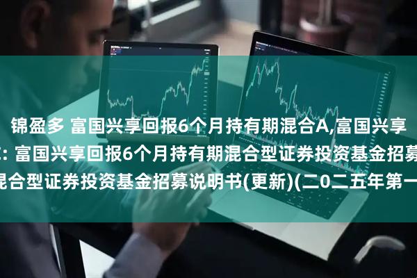 锦盈多 富国兴享回报6个月持有期混合A,富国兴享回报6个月持有期混合C: 富国兴享回报6个月持有期混合型证券投资基金招募说明书(更新)(二0二五年第一号)