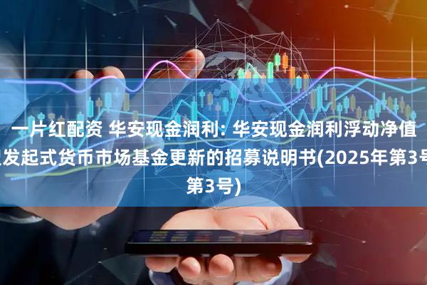 一片红配资 华安现金润利: 华安现金润利浮动净值型发起式货币市场基金更新的招募说明书(2025年第3号)