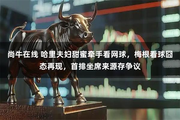 尚牛在线 哈里夫妇甜蜜牵手看网球，梅根看球囧态再现，首排坐席来源存争议