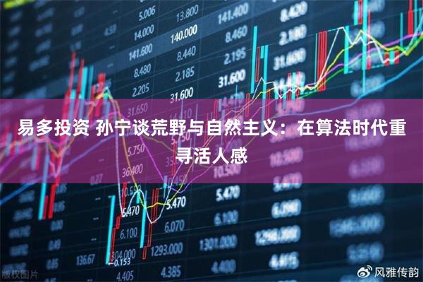 易多投资 孙宁谈荒野与自然主义：在算法时代重寻活人感